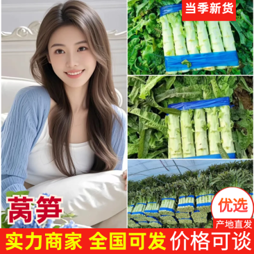 泰安丨莴笋丨青皮青肉丨红叶香莴苣丨杆子丨尖叶三清莴苣内蒙