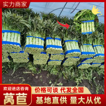 丨红叶三清莴笋丨一一丨价格便宜丨一一大量供应，质量好
