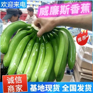 广西威廉斯香蕉，基地直装，流水线包装，把型好，随行就市