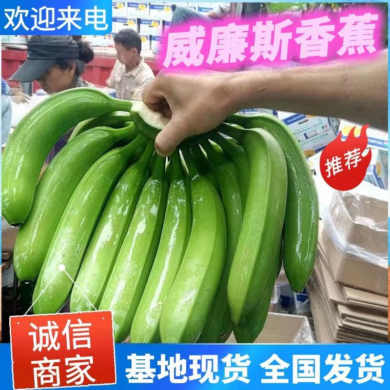 广西威廉斯香蕉，基地直装，流水线包装，把型好，随行就市