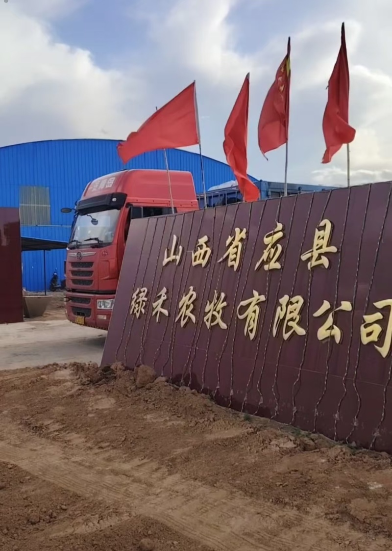 发酵纯羊粪品质保证可检验量大从优价格实惠对接全国客商