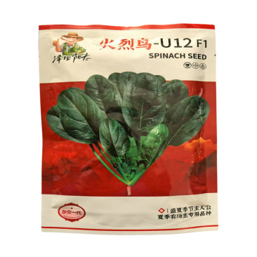 火烈鸟菠菜种子杂交越夏墨黑油亮圆叶菠菜种子高抗霜霉病
