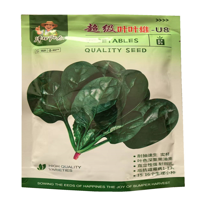 超级叶叶雄菠菜种子半圆叶耐抽速生实杆深墨黑油亮菠菜种子