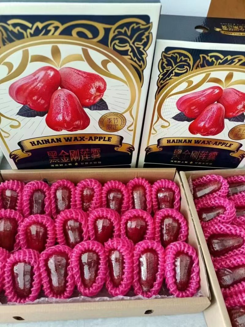 海南黑金刚莲雾产地直发全年有货可对接各大商超批发零售