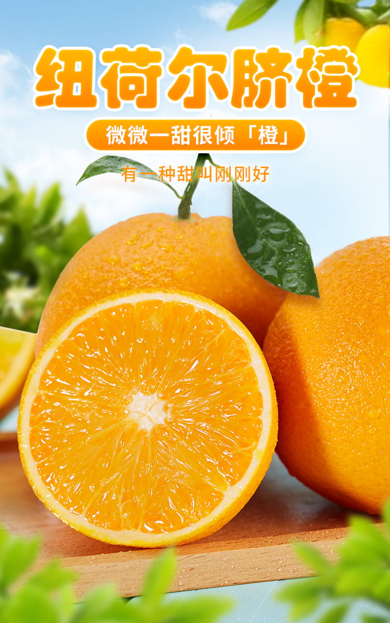 湖南纽荷尔脐橙大量上市一手货源价格实惠量大从优