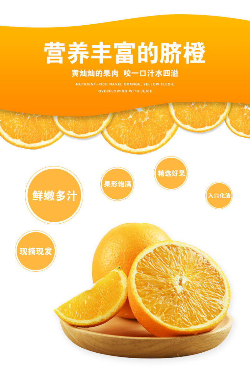 湖南纽荷尔脐橙大量上市品质保证价格实惠欢迎老板来电