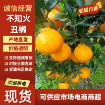 四川内江资中县不知火丑橘大量上市，价格便宜，视频看货