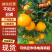 四川内江资中县不知火丑橘大量上市，价格便宜，视频看货