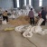 精选彩色花冠花生量大价优厂家直销欢迎联系