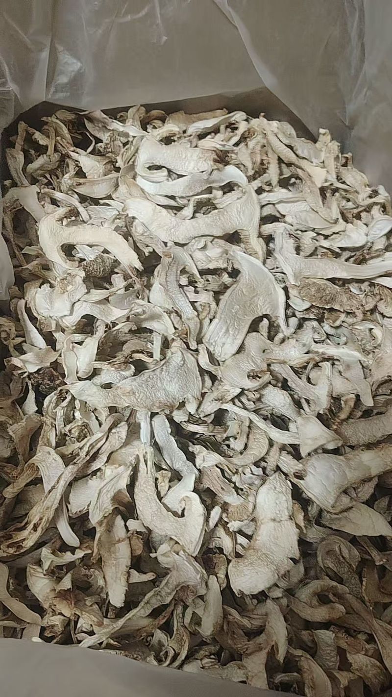 精品云南松茸干片货源充足产地直发品质保证