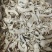 精品云南松茸干片货源充足产地直发品质保证