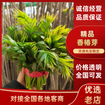 红油香椿，包邮品质保证，支持一件代发，团购电商对接。