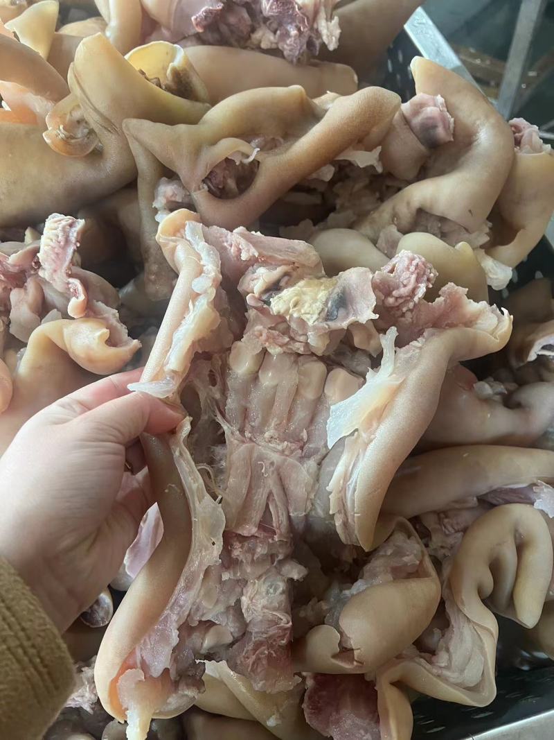 精品熟牛蹄筋原味真空包装去骨品质保证价格美丽欢迎咨询