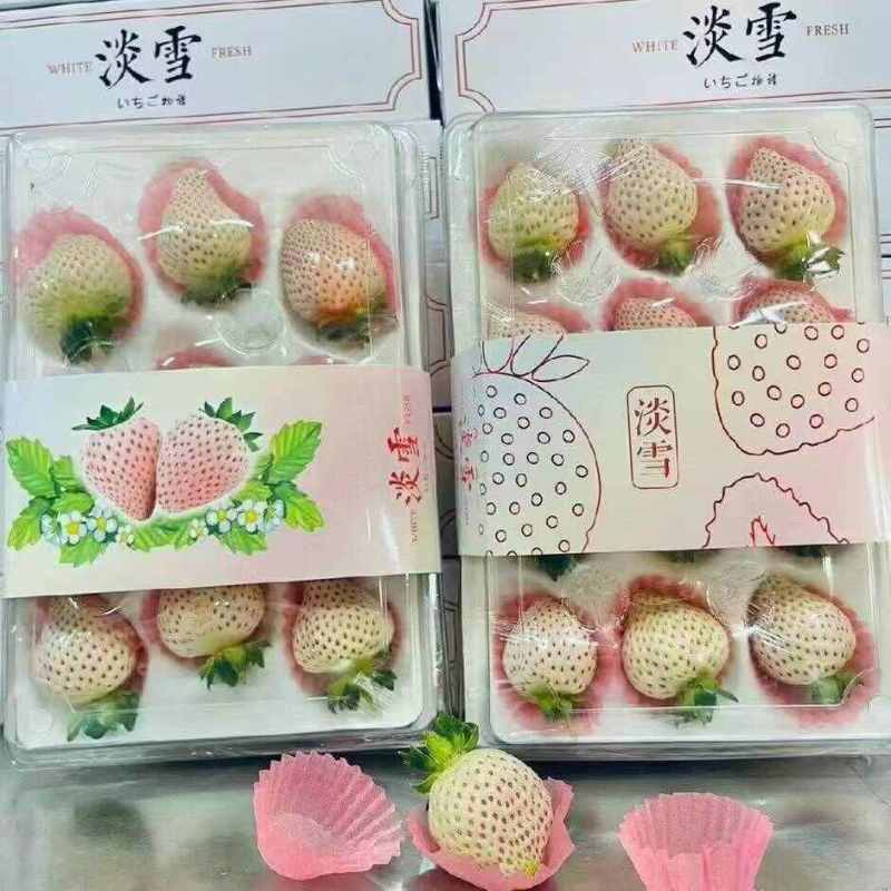 山东淡雪草莓一件代发产地直发一手货源对接各大电商平台