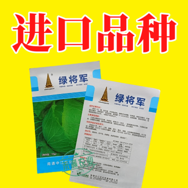 中江种业绿将军甘蓝种子进口春秋播种杂交高扁圆包心菜卷心菜