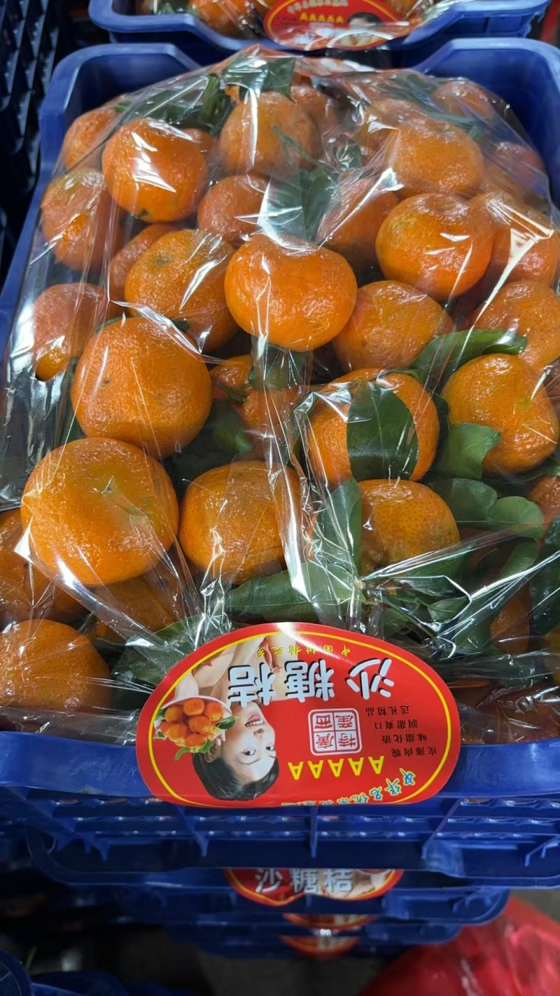 广西砂糖橘，棉桔，南丰蜜橘，东方红桔，产地直销，一手货源