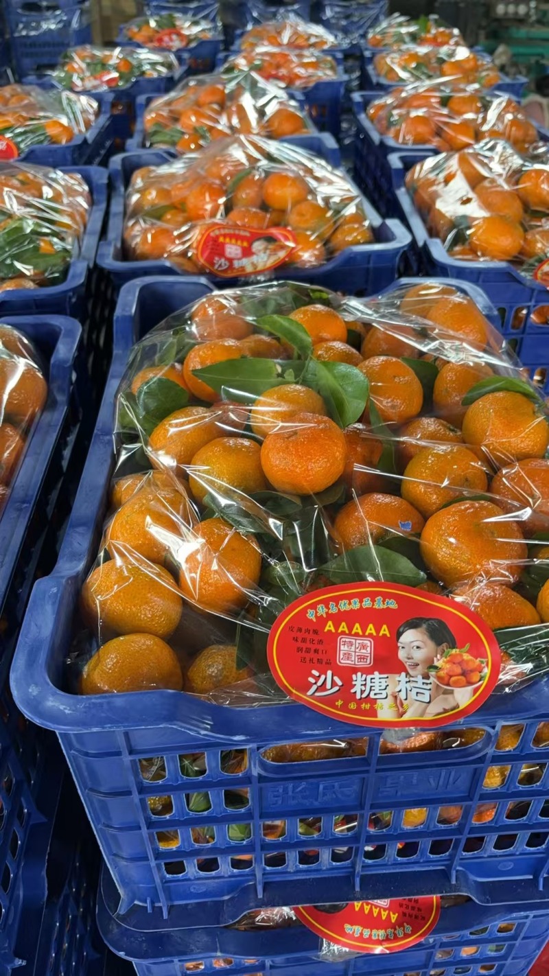 广西砂糖橘，棉桔，南丰蜜橘，东方红桔，产地直销，一手货源