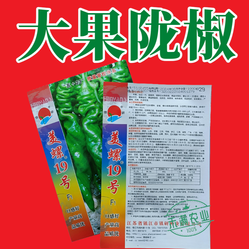 镇研美螺19号畅销全螺形螺丝椒种子抗逆抗病香辣高产早春辣
