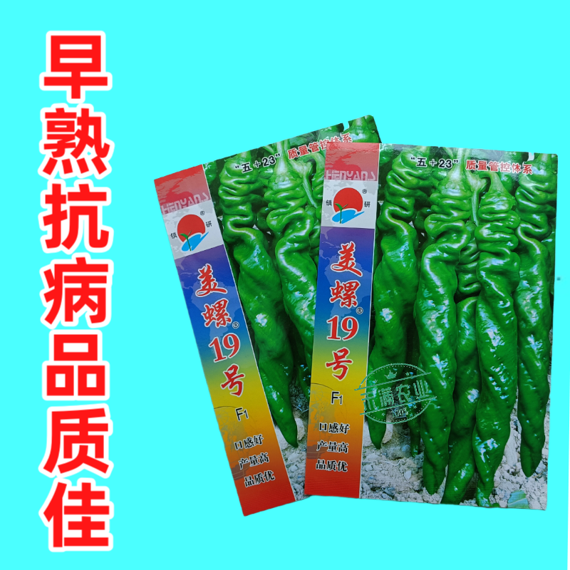 镇研美螺19号畅销全螺形螺丝椒种子抗逆抗病香辣高产早春辣