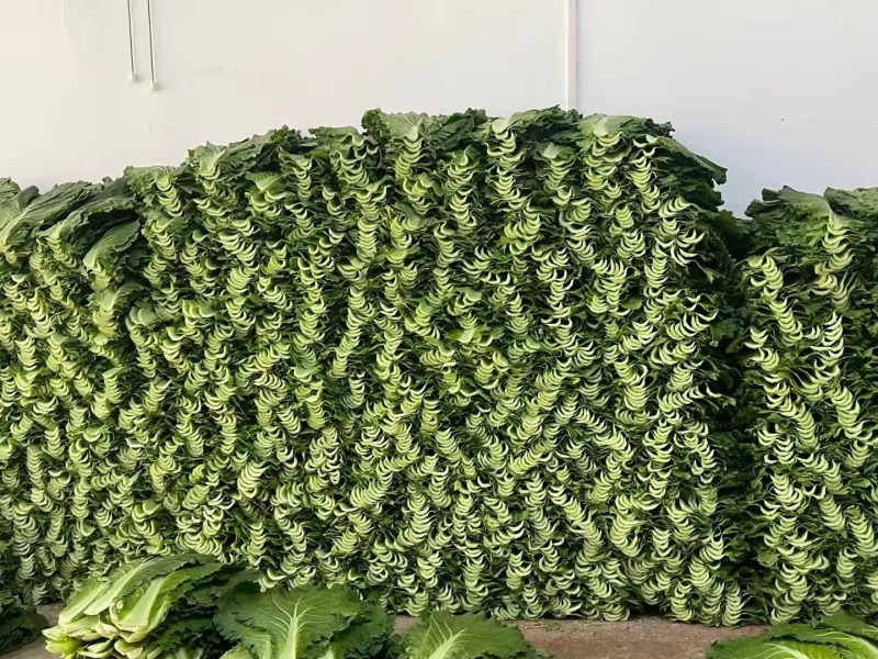 白菜叶大量有货一手资源产地直发可视频看货
