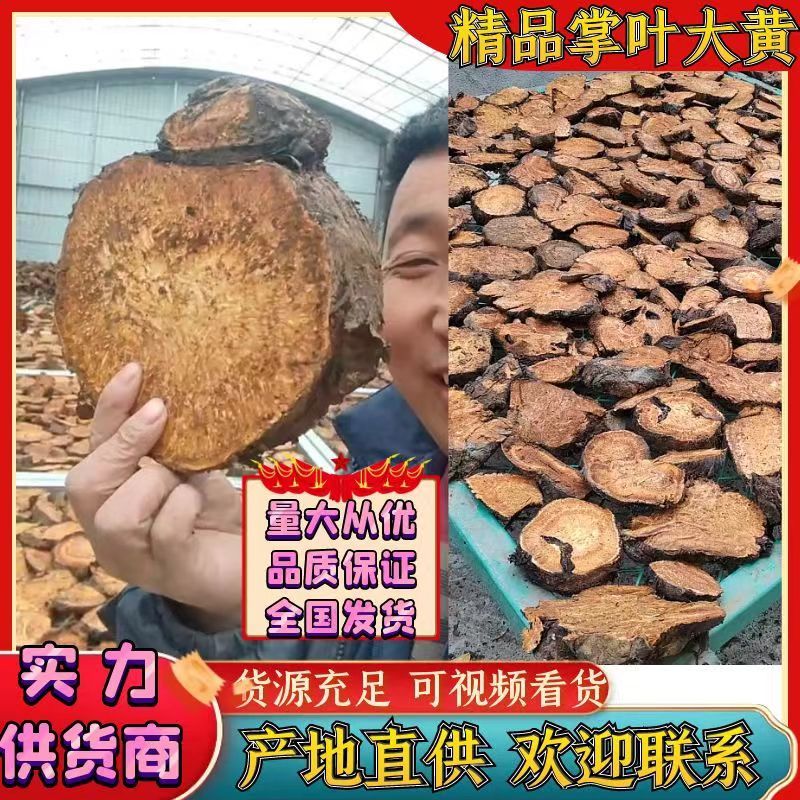 高原野生大黄掌叶大黄货源充足价格实惠产地一手货