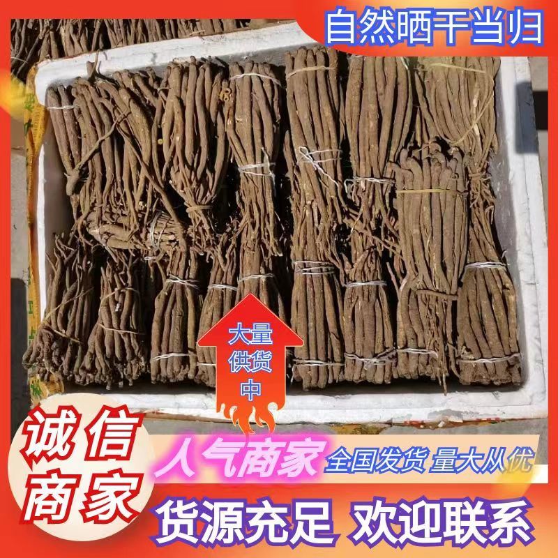 川西高原独角当归甜当归干货大量批发自然晒干品质