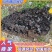 悬崖上的猴结大量批发量大从优品质保证