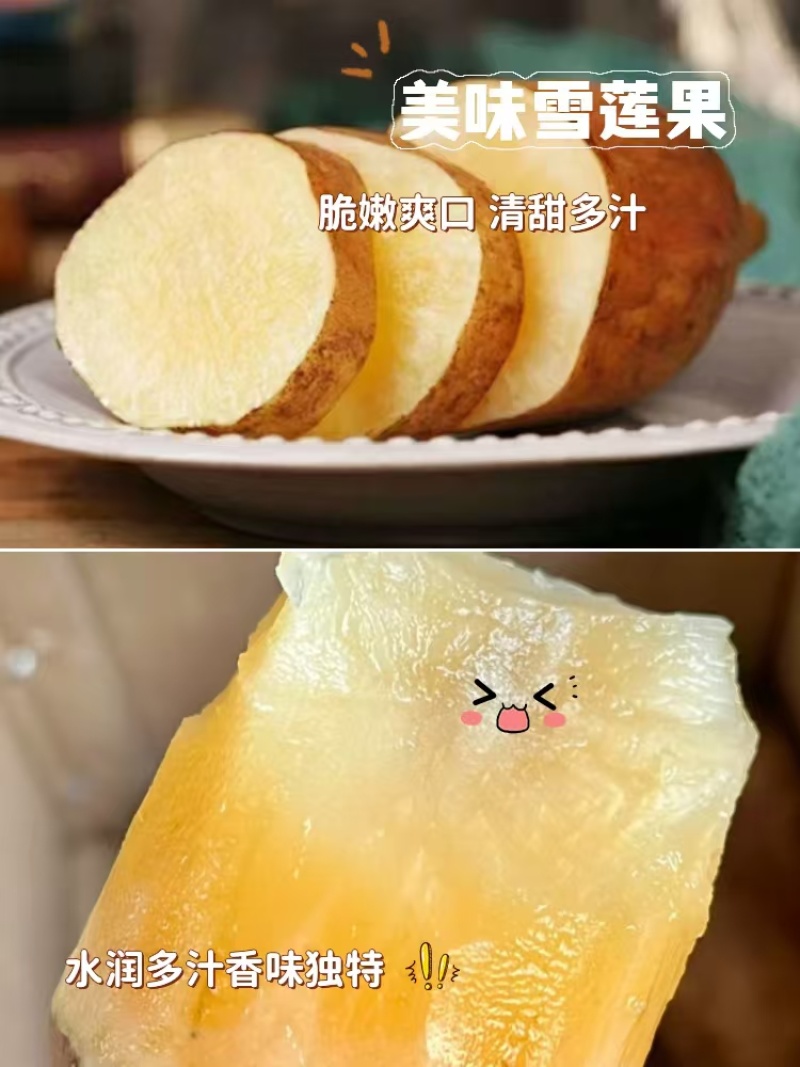 新鲜雪莲果，口感脆甜，营养丰富，健康美味一件代发全国