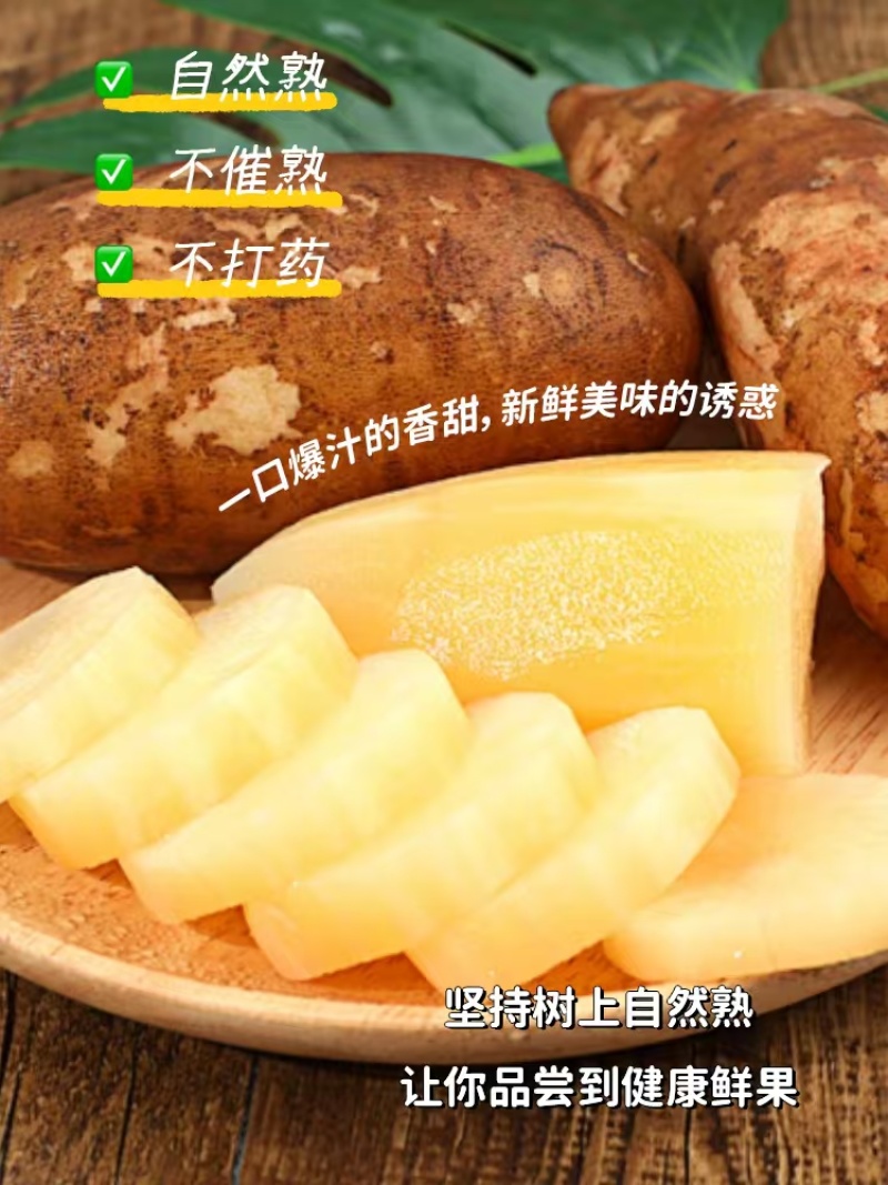 新鲜雪莲果，口感脆甜，营养丰富，健康美味一件代发全国