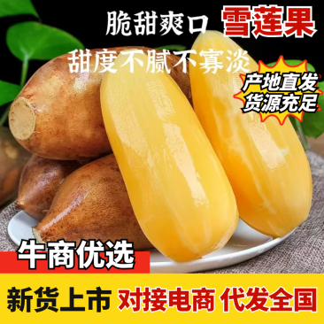 新鲜雪莲果，口感脆甜，营养丰富，健康美味一件代发全国