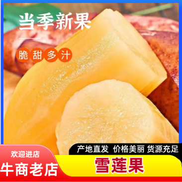 新鲜雪莲果，天然无污染，口感脆甜，营养丰富，健康美味