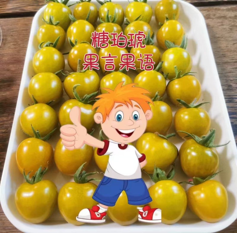 精品圣女果黄果产地直发大量有货可视频看货欢迎咨询