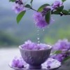魏晓轩的一亩田店铺