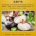 【优选马蹄】广西荔浦市-荔浦荸荠-珍珠马蹄-规格齐全-欢迎