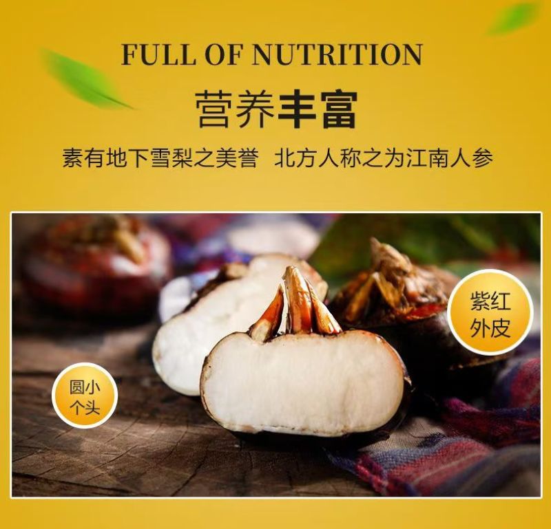 【优选马蹄】广西荔浦市-好物荔浦荸荠珍珠马蹄-基地/种植加工
