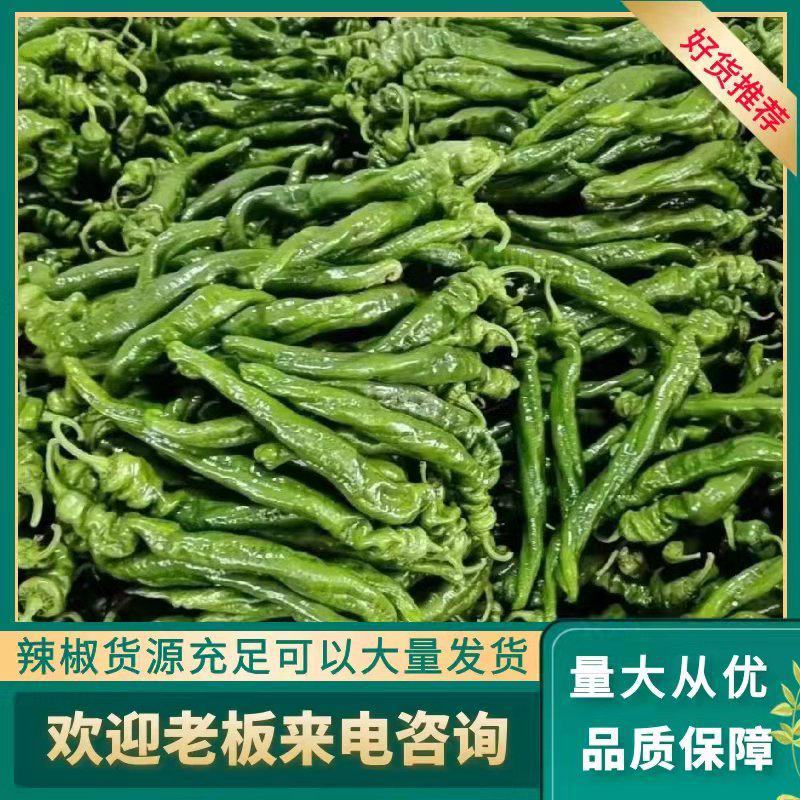 海南螺丝椒基地一手货源量大可优惠视频看货对接全国