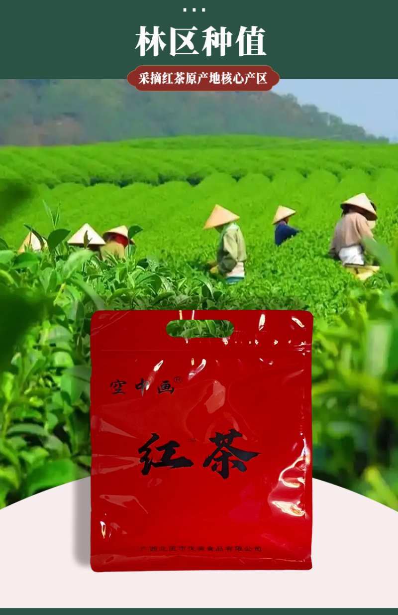 红茶广西大叶种功夫红茶浓香型精品袋装250g/袋