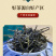 炒青绿茶正宗广西特产浓香型新茶大叶种绿茶250g袋装