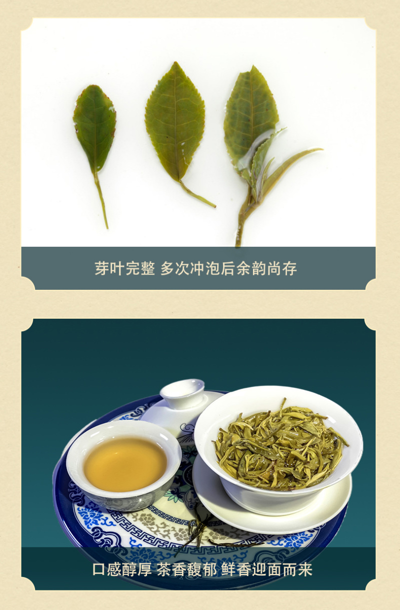 炒青绿茶正宗广西特产浓香型新茶大叶种绿茶250g袋装