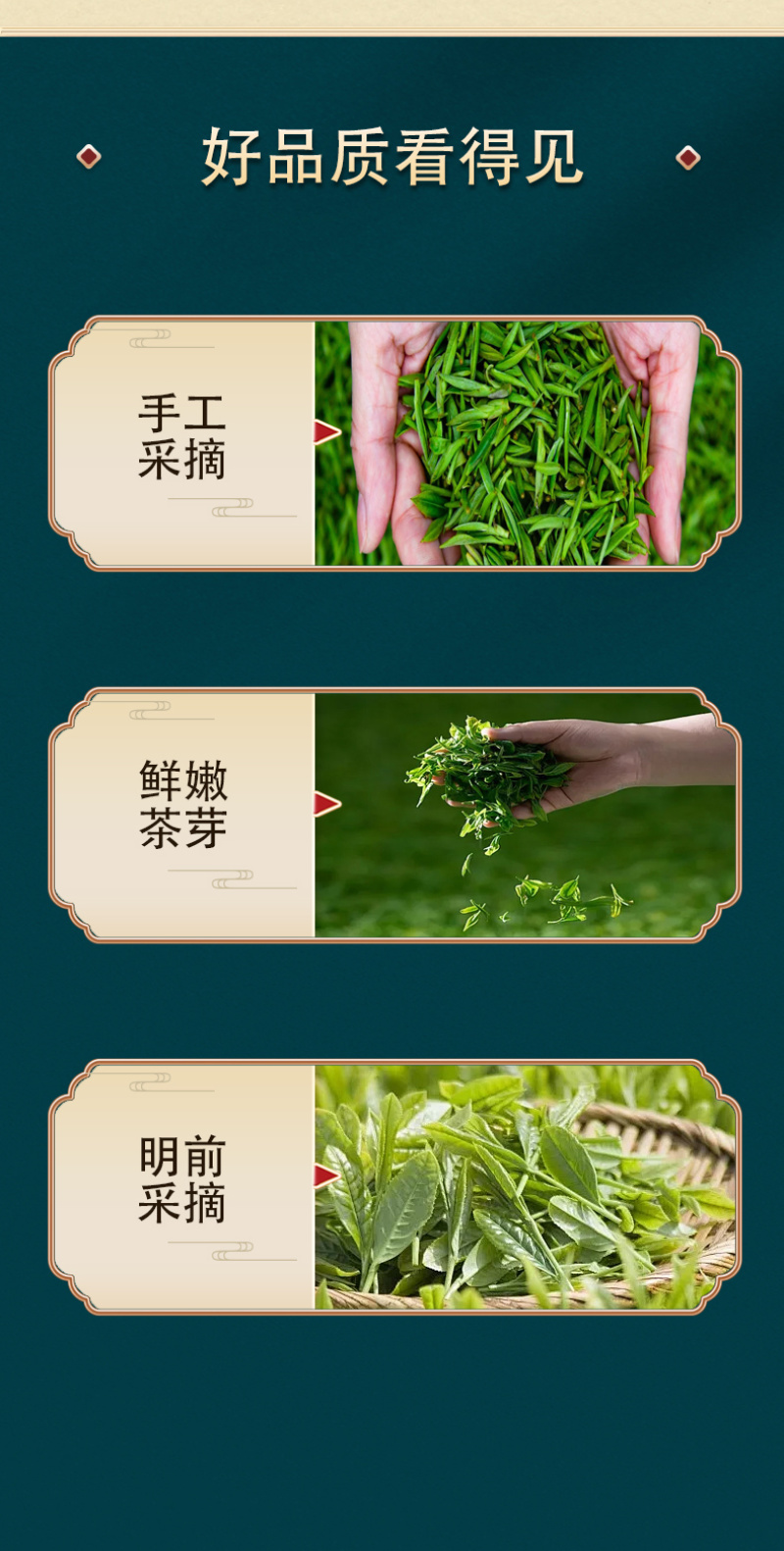 炒青绿茶正宗广西特产浓香型新茶大叶种绿茶250g袋装