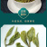 正宗白牡丹白茶早春花香优质好茶袋装125g/袋
