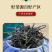 绿茶正宗大叶种绿茶浓香型炒青毛尖罐装150g/罐