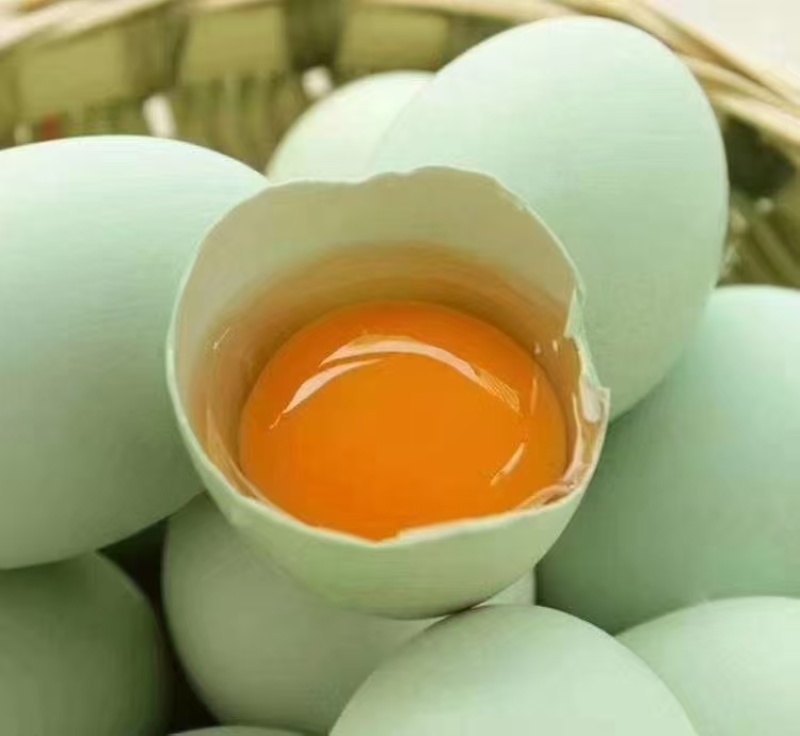绿壳鸡蛋【金品鸡蛋】不做低端，送礼佳品，公司团购优惠