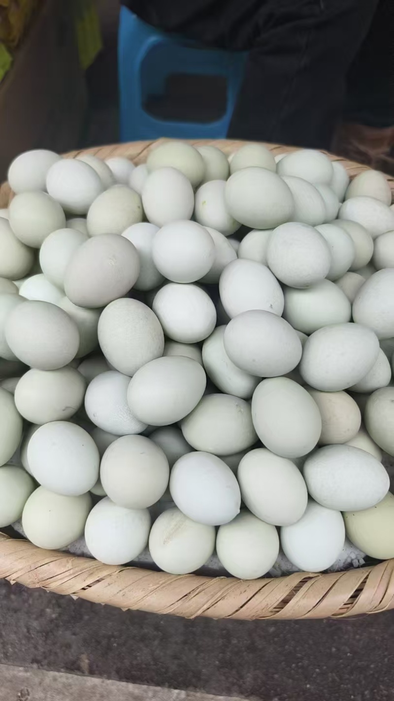 绿壳鸡蛋【金品鸡蛋】不做低端，送礼佳品，公司团购优惠