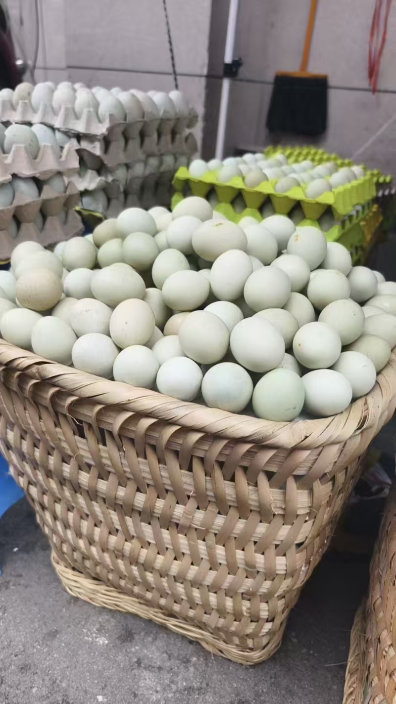 绿壳鸡蛋【金品鸡蛋】不做低端，送礼佳品，公司团购优惠