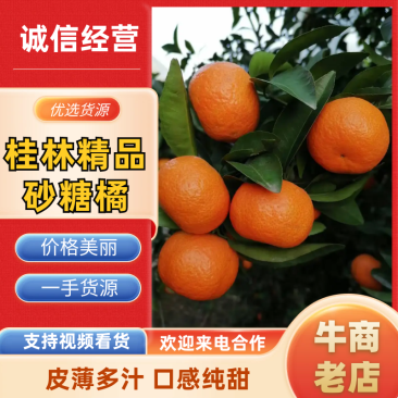 桂林精品砂糖橘，皮薄肉美，现货速发欢迎老板选购