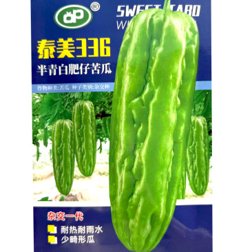 泰美336半青白肥仔苦瓜种子耐热耐雨水皮翠绿油亮