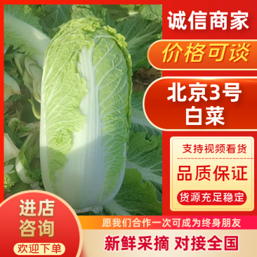 玉田大白菜北京三号菜支持各种包装
