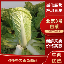 北京三号菜产地直销价格便宜一毛走车