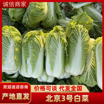 北京三号菜
